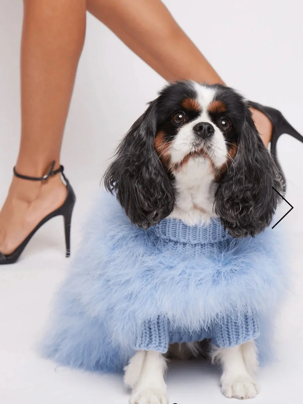 Christian Cowan x maxbone Dog Jumper – Light Blue | Size Large